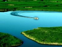 鸣翠湖国家湿地公园 (7)