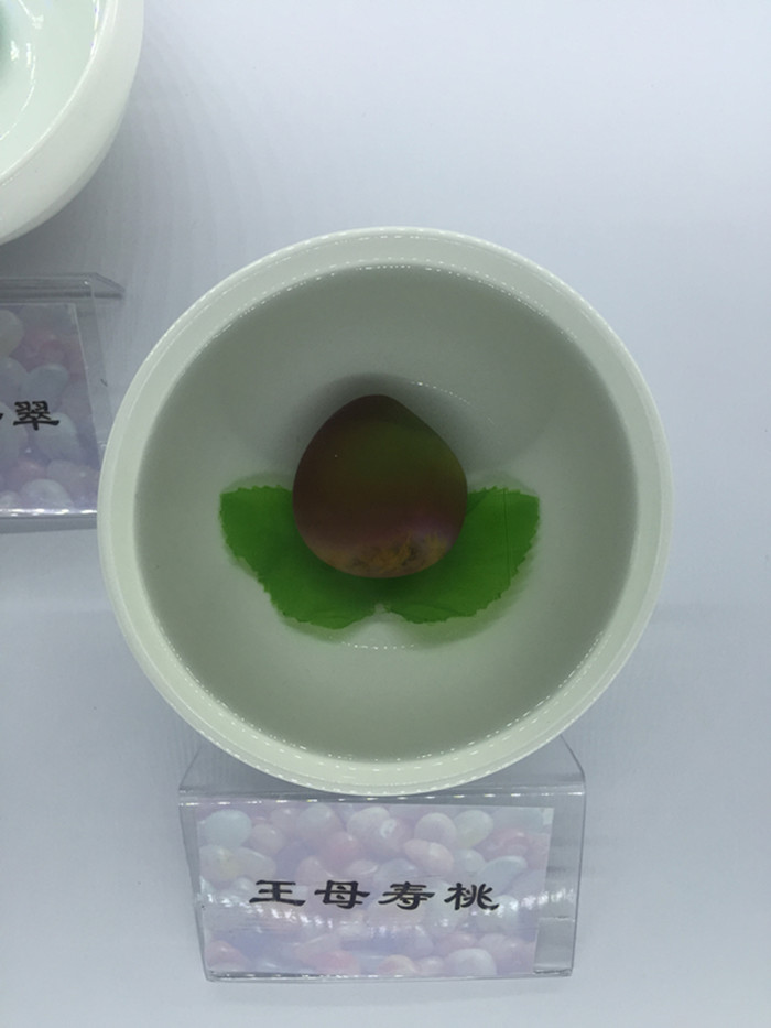 银川旅游景点水洞沟展出雨花石