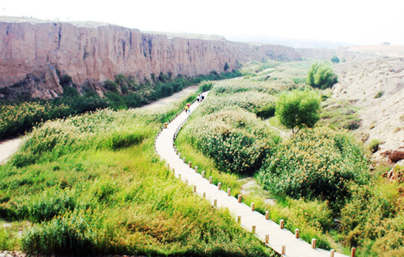 宁夏旅游景点水洞沟芦花谷