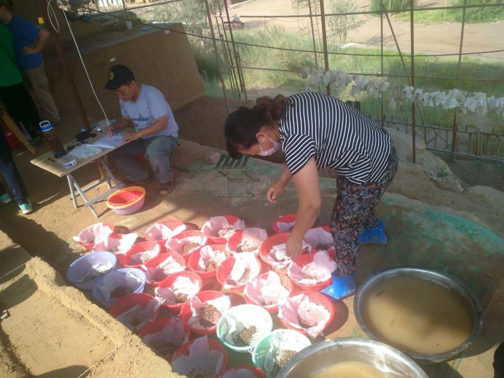 银川旅游景点水洞遗址第六次考古发掘