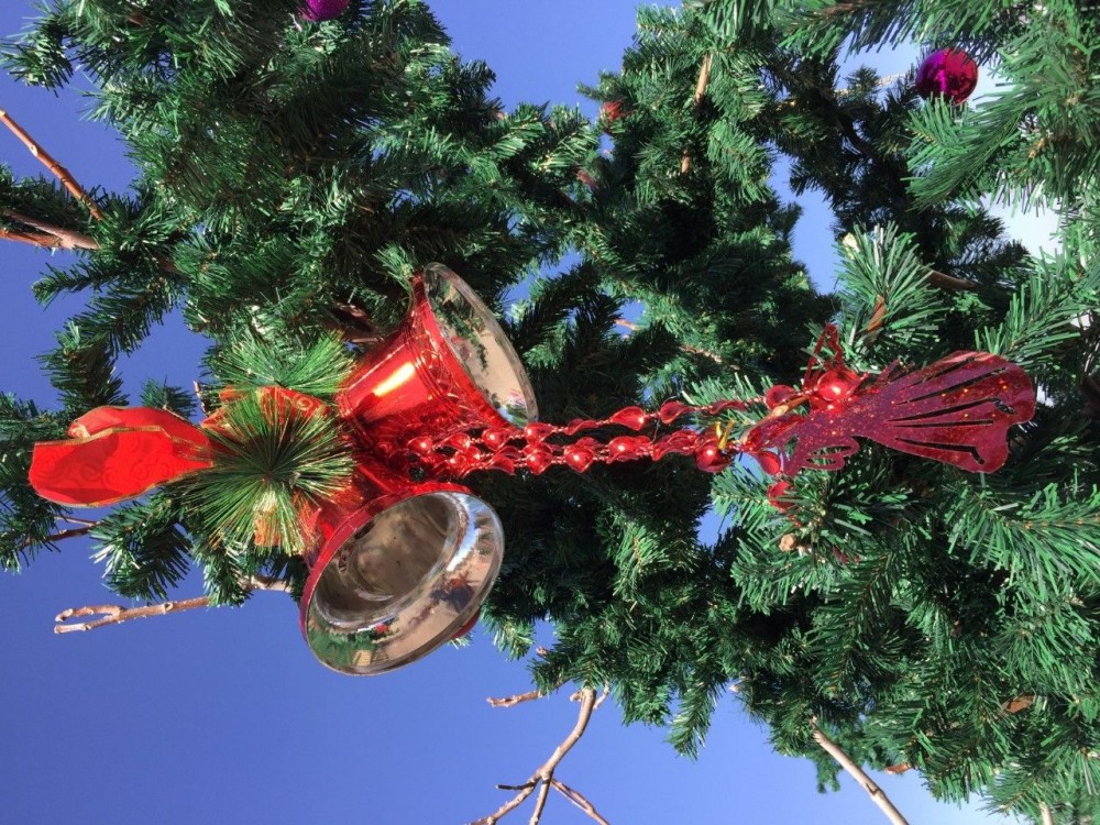 宁夏旅游水洞沟圣诞氛围