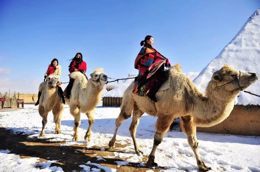 银川旅游水洞沟村
