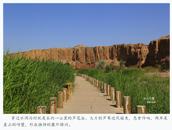 宁夏水洞沟旅游驴友游记6