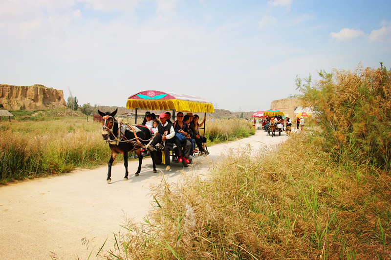 宁夏水洞沟旅游区游客乘坐驴车