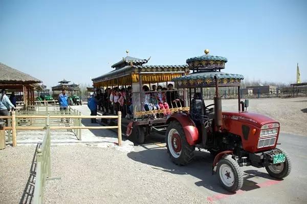 银川旅游攻略清明乘坐水洞沟拖拉机观光车