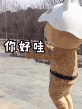 水洞沟森魄家族表情你好哇