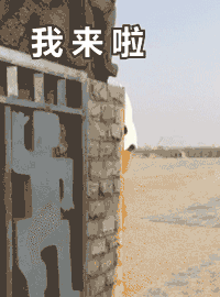 水洞沟森魄家族表情我来啦