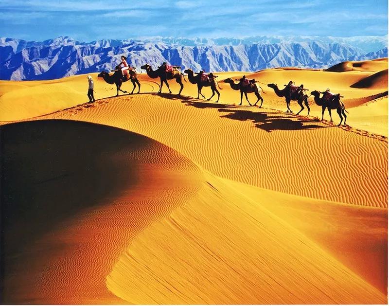 去宁夏旅游景点走走转转,看看史前遗迹,看看大漠风光