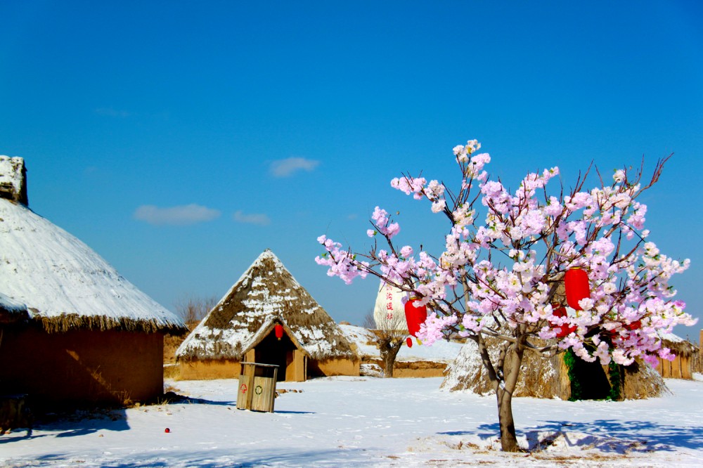 银川旅游