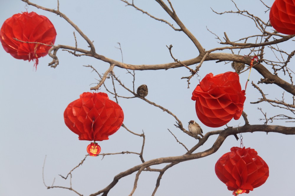 宁夏旅游景点