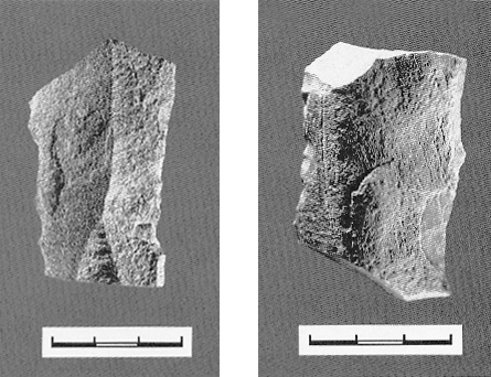 银川旅游景区水洞沟出图的边刮器6