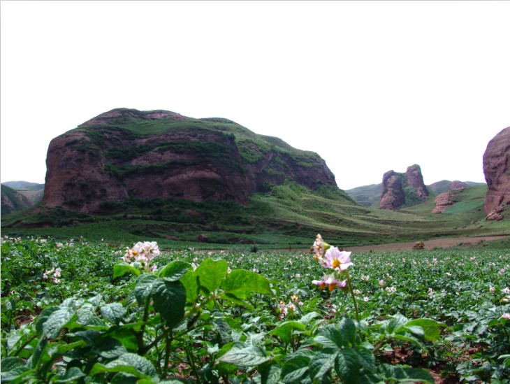 宁夏旅游景点火石寨1