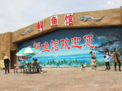 鳄鱼馆