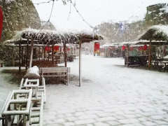 雪中互市