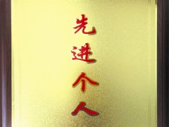 2015年度宁夏旅游协会景区分会先进个人