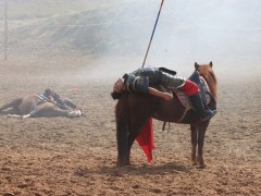 北疆天歌白天演出