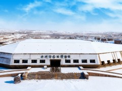 雪中博物馆2