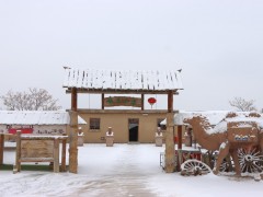 雪后张三小店